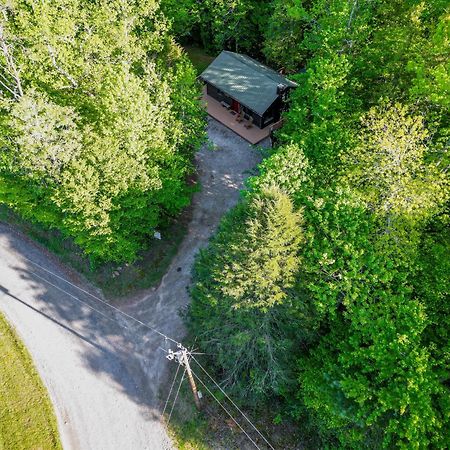 The Big Little Cabin - Hot Tub & Playground Dahlonega Ngoại thất bức ảnh