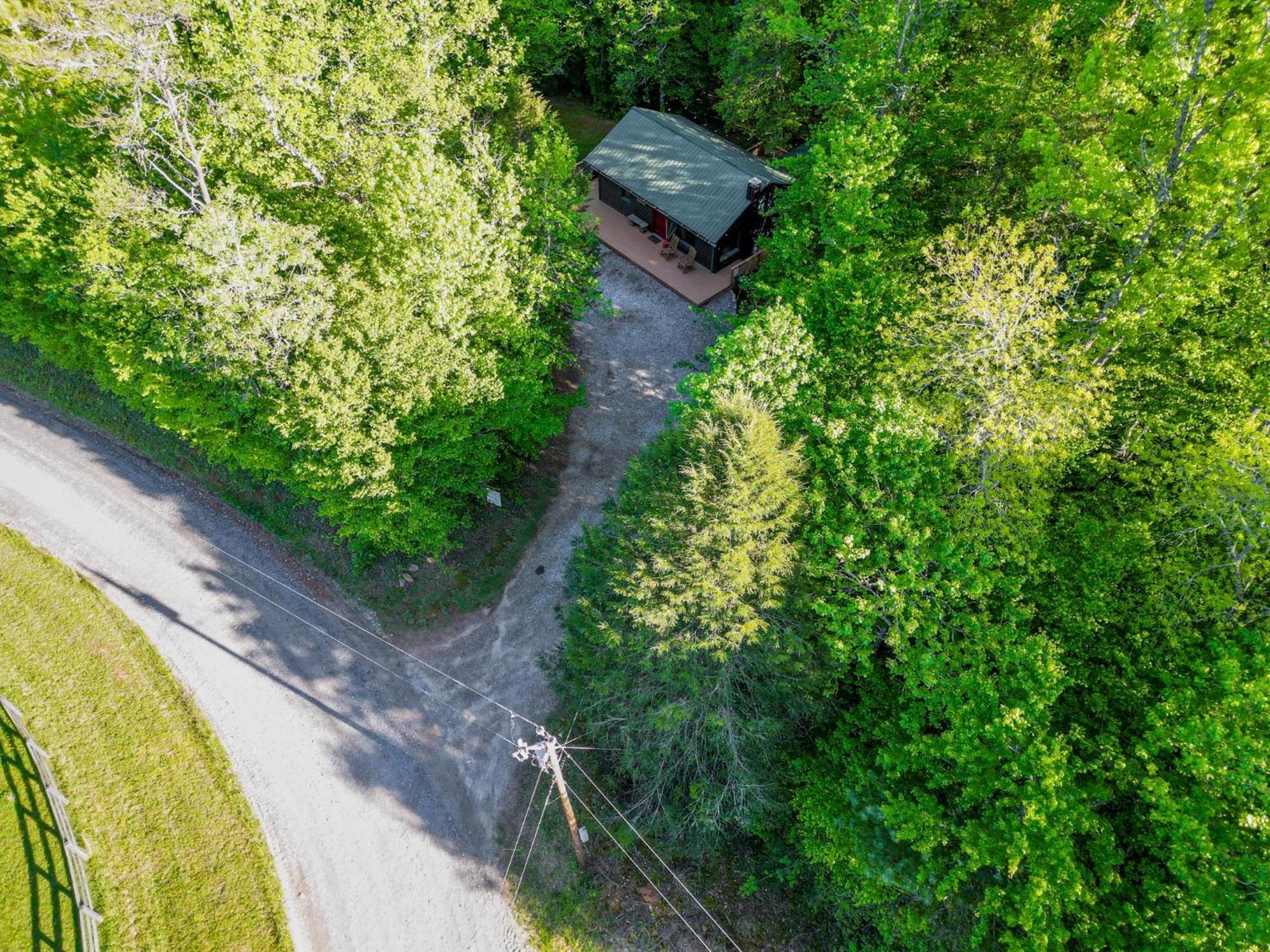 The Big Little Cabin - Hot Tub & Playground Dahlonega Ngoại thất bức ảnh